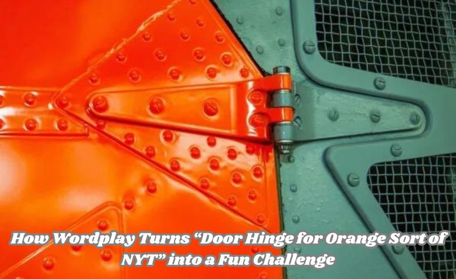 door hinge for orange sort of nyt