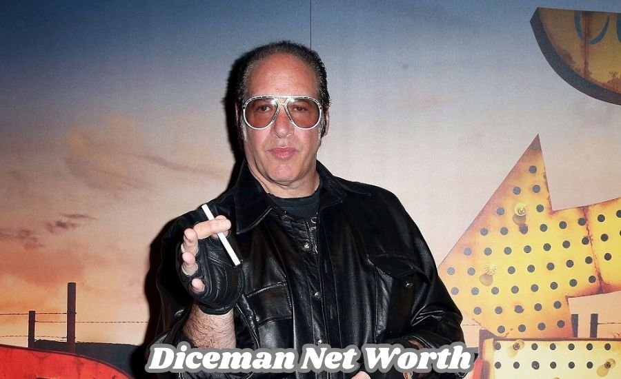 diceman net worth