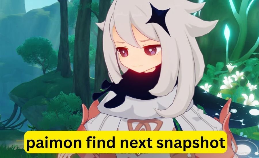 paimon find next snapshot