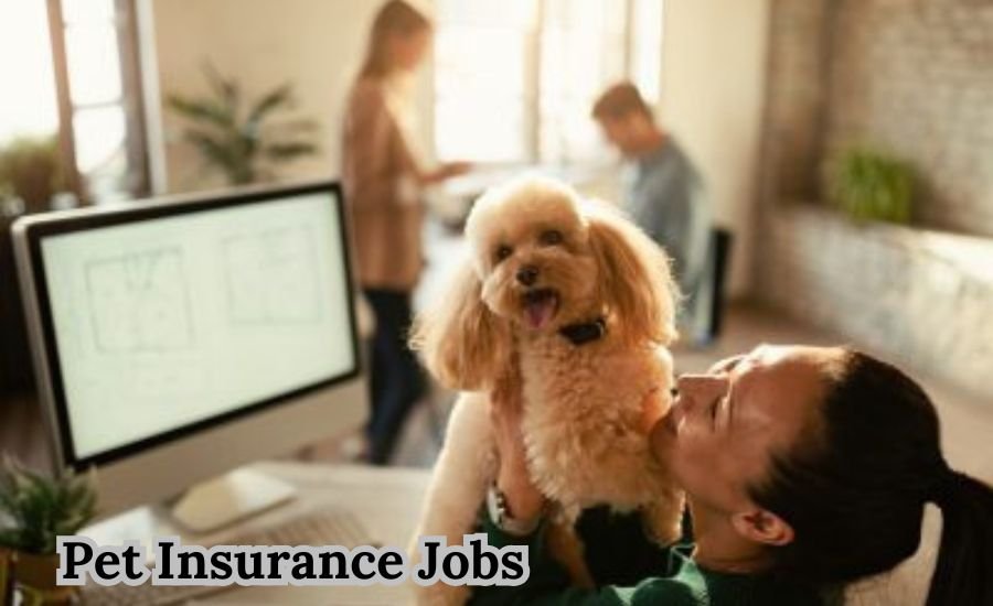 pet insurance jobs