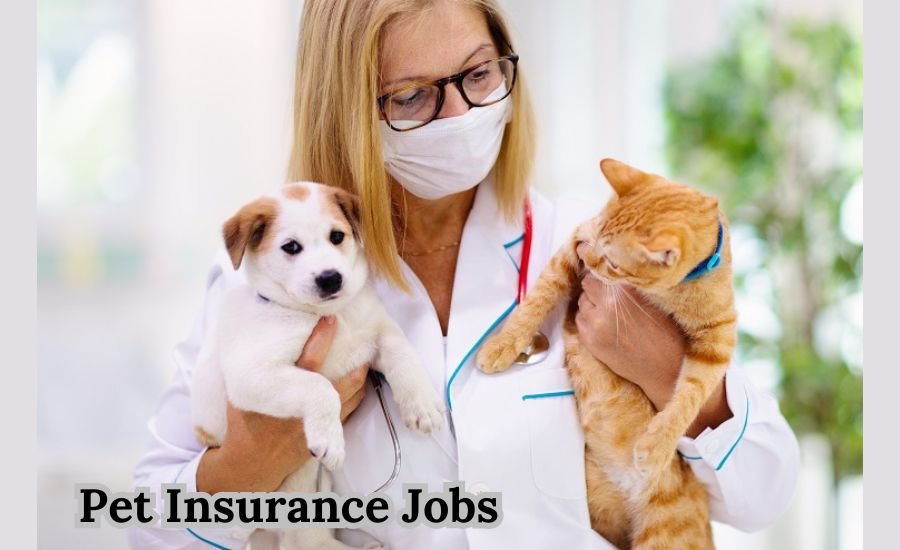 pet insurance jobs