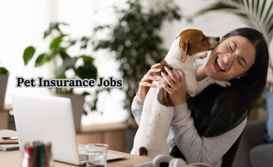 pet insurance jobs